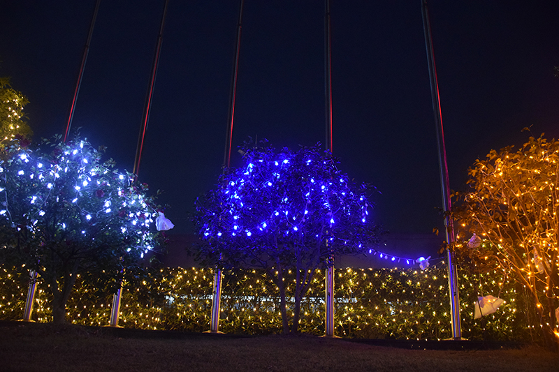 靜謐夜空月色朦朧，賽豪燈光默默守候