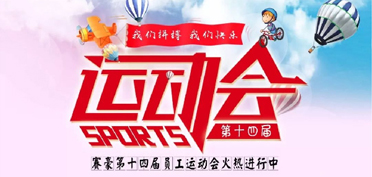 The 14th Staff Games